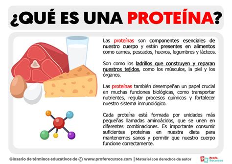 que es proteina